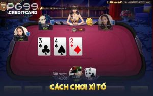Cách chơi xì tố là gì?
